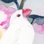 絵の知識ゼロの文鳥さん